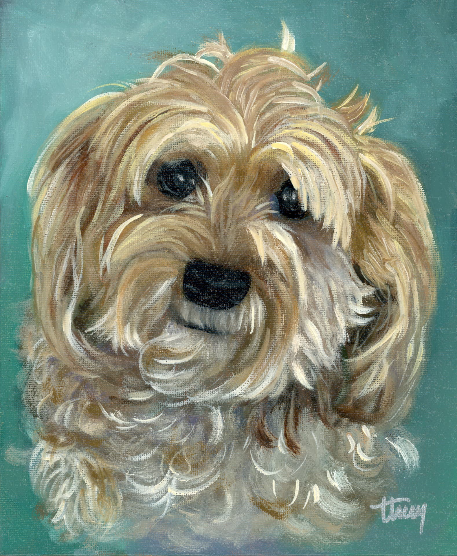 Oil portrait of Bentley, a cream cavapoo with soft curls, on a teal background