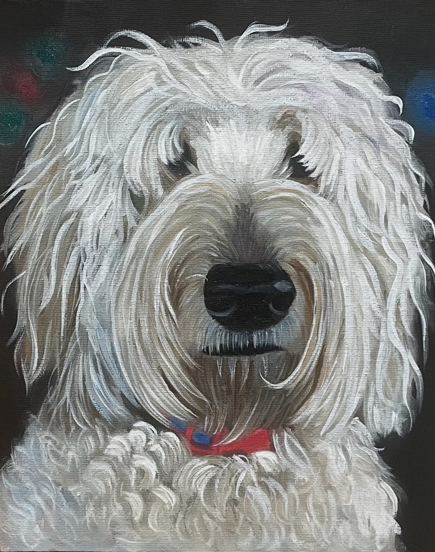 Oil portrait of Wrigley, a cream goldendoodle with a red collar, on a dark background